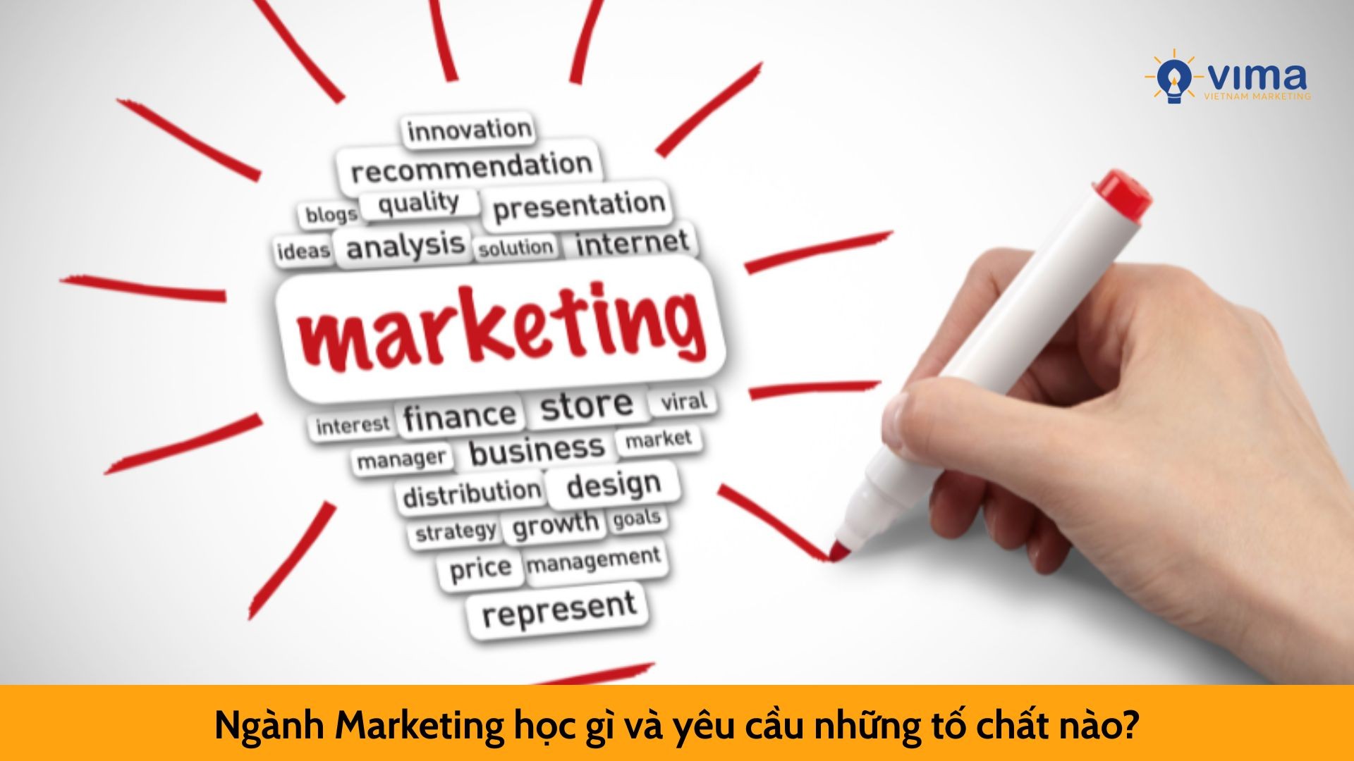 Ngành Marketing học gì và yêu cầu những tố chất nào?